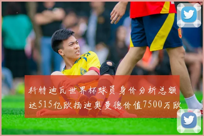 科特迪瓦世界杯球员身价分析总额达515亿欧扬迪奥曼德价值7500万欧